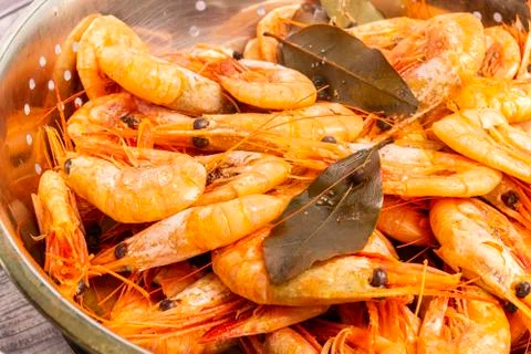 Cooked Atlantic prawns flow around in a stainless steel colander Stock Photos