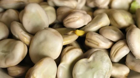 Cooked broad beans rotating turning round Stock Footage 136948112