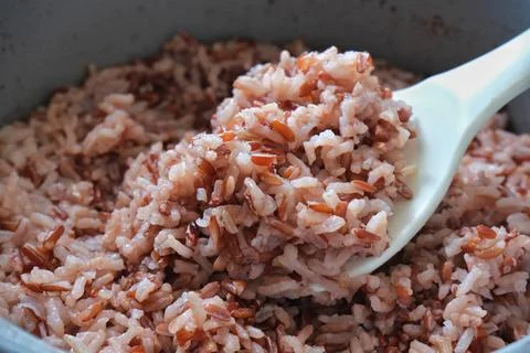 Cooked brown rice Stock Photos