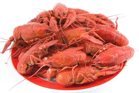 Cooked cancers Photos