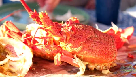 Cooked Cape Rock Lobster (crayfish) eaten by hand at table in South Africa Stock Footage 327533315