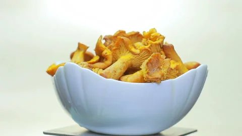 Cooked the chanterelles in the dish. Stock Footage 94133003