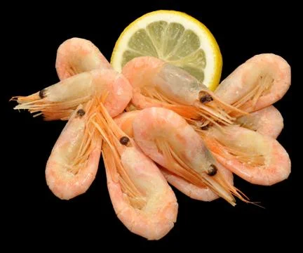 Cooked Cold Water Prawns Foto stock