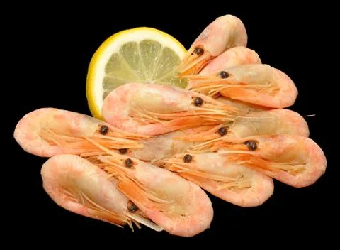 Cooked Cold Water Prawns Stock Photos
