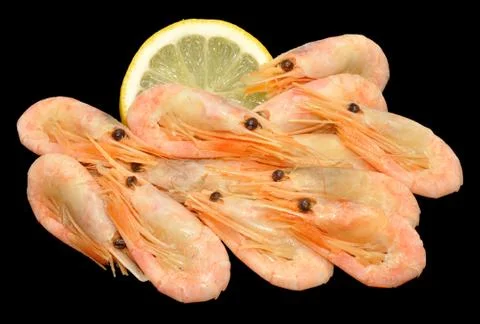 Cooked Cold Water Prawns Stock Photos