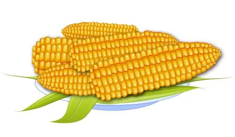 Cooked corn Stock Illustration