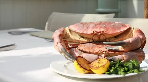 Cooked crab Stock Footage 22769283