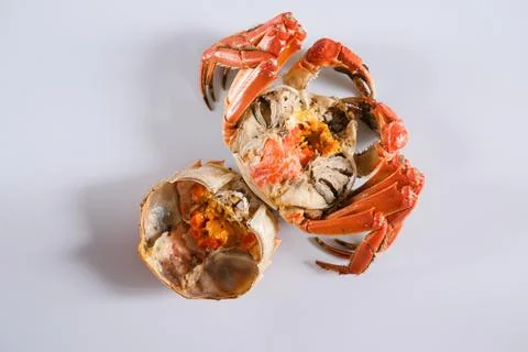 Cooked crab halves on white background Stock Photos