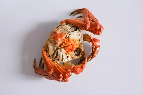 Cooked crab isolated on white background Stock Photos