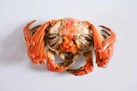 Cooked crab isolated on white background Stock Photos