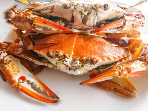 Cooked crab Stock Photos