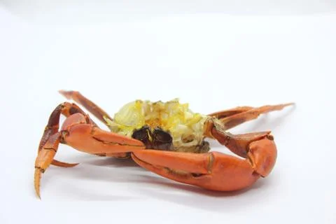 Cooked crab Stock Photos