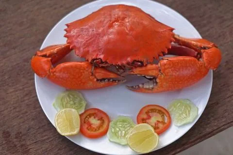 Cooked crab at plate Stock Photos