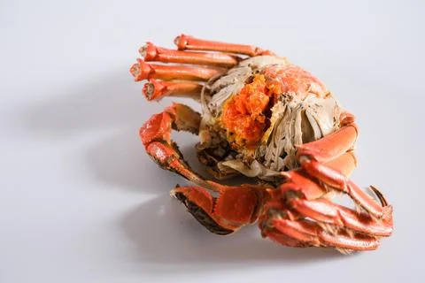 Cooked crab with roe on white background Stock Photos