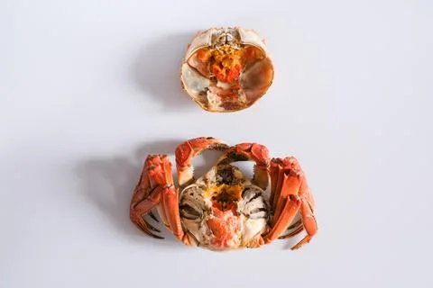 Cooked crab with shell on white background Stock Photos