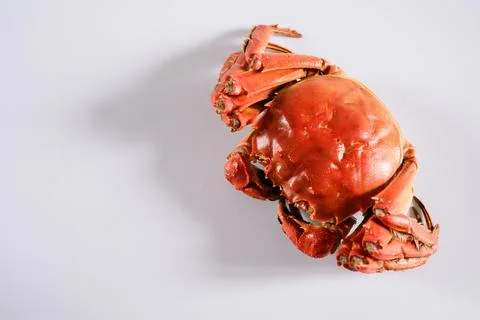 Cooked crab on white background Stock Photos