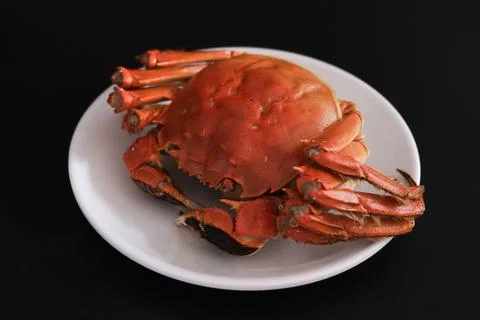 Cooked crab on white plate Stock Photos