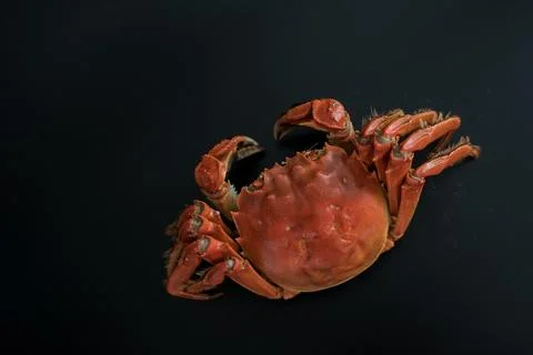 Cooked crabs on a black background Stock Photos