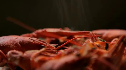 Cooked crayfish Stock Footage 10827328