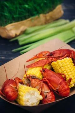 Cooked crayfish with grilled vegetables Stock Photos