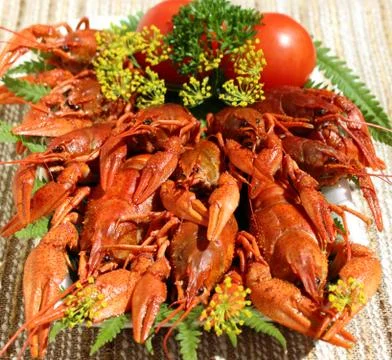 Cooked crayfish Stock Photos