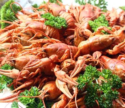 Cooked crayfish Stock Photos