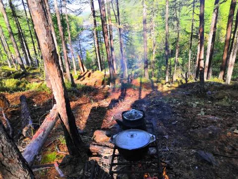 Cooked ear Stock Photos