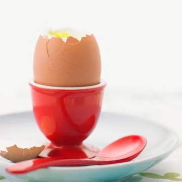 Cooked egg Stock Photos