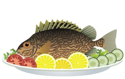 Cooked fish and raw vegetables on a plate Stock Illustration