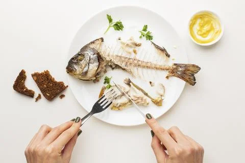 Cooked fish leftovers hands Stock Photos
