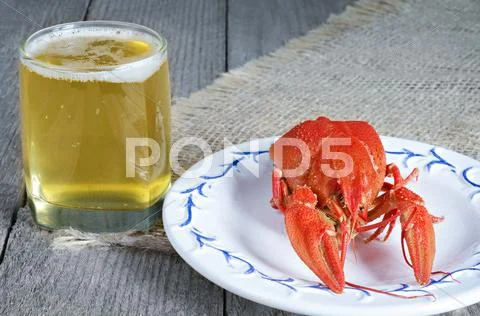Cooked freshwater crayfish with beer Stock Photos