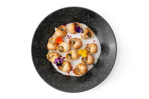 Cooked grape snails in shells on a black plate isolated Stock Photos