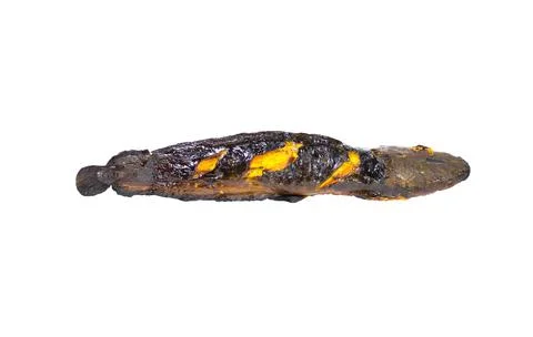 Cooked grilled catfish. On a white background. Stock Photos