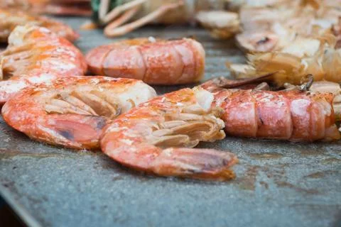 Cooked grilled shrimps Stock Photos