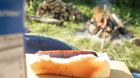 Cooked hot dog sits in front of campfire Stock Footage 40214454