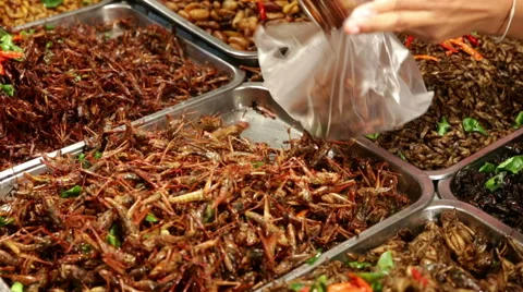 Cooked insects spooned into bag Stock Footage 62261276