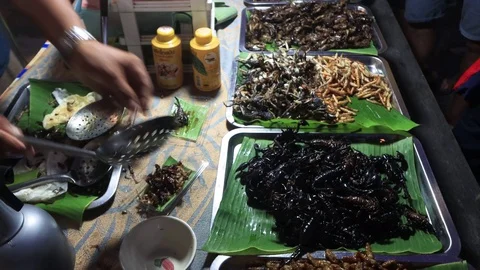 Cooked instects Stock Footage 123821512