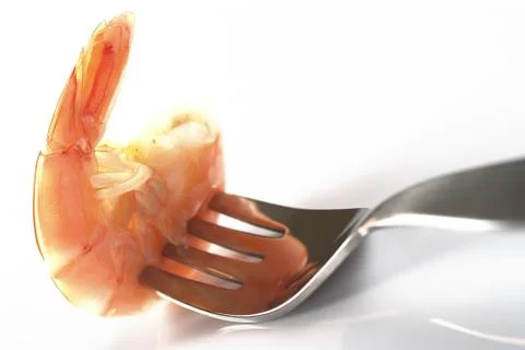 Cooked king prawn on fork Stock Photos
