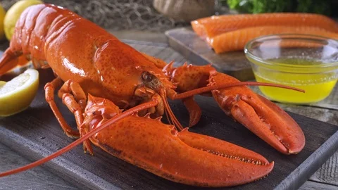 Cooked Lobster Stock Footage 119210437