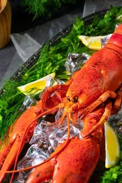 The cooked lobster on ice Stock Photos