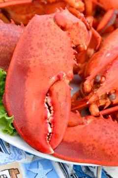 Cooked lobster Stock Photos
