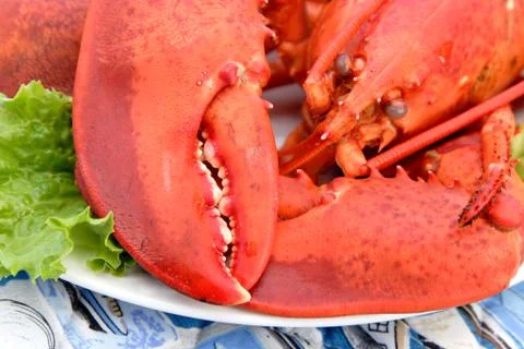 Cooked lobster Stock Photos