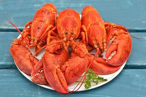 Cooked lobster Stock Photos
