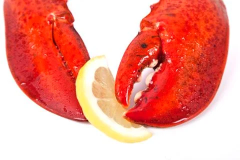 Cooked lobster Stock Photos