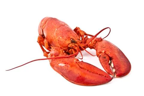 Cooked lobster Stock Photos