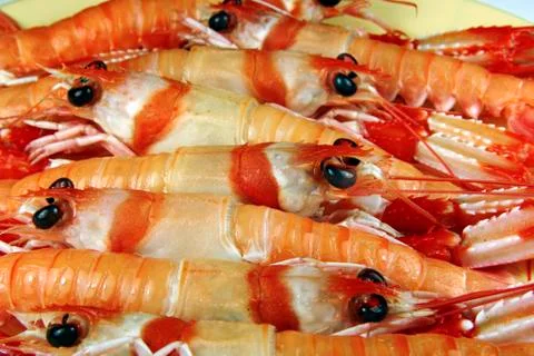 Cooked lobster Stock Photos