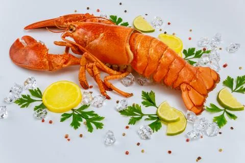 Cooked lobster on white background with spices and lemon. Stock Photos