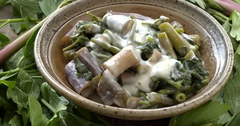 Cooked lovage herb covered with bechamel sauce. Stock Footage 297293777
