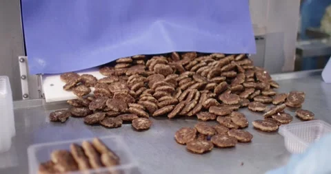 Cooked meat patties sliding from a chute onto a packing table, Static Shot Stock Footage 340044976