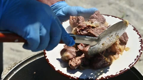 Cooked meat served on plate with spatula, outdoor setting, sunny day Stock Footage 341357597